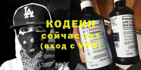 индика Усинск